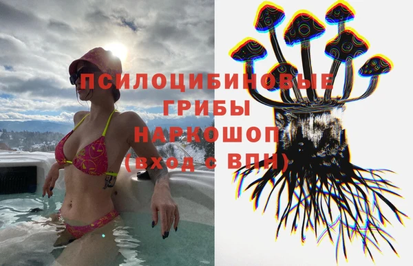 ECSTASY Алексин