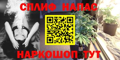 сатива Кандалакша