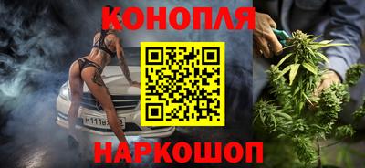 сатива Кандалакша