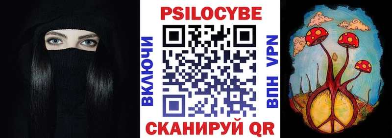 Псилоцибиновые грибы Psilocybine cubensis  Энгельс 