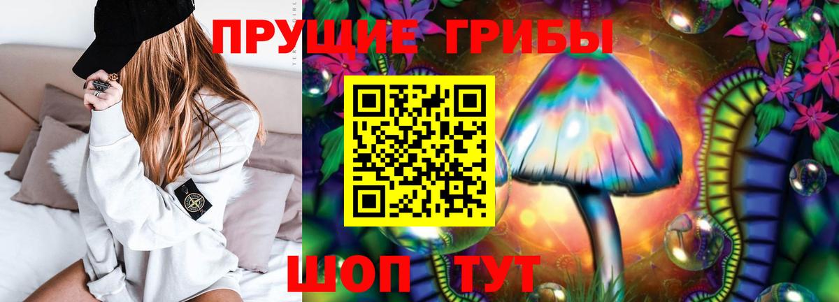 Псилоцибиновые грибы Psilocybe  Вход с VPN  Галлюциногенные грибы GOLDEN TEACHER  Энгельс 
