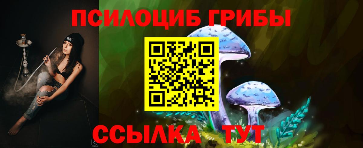 Галлюциногенные грибы Cubensis Энгельс
